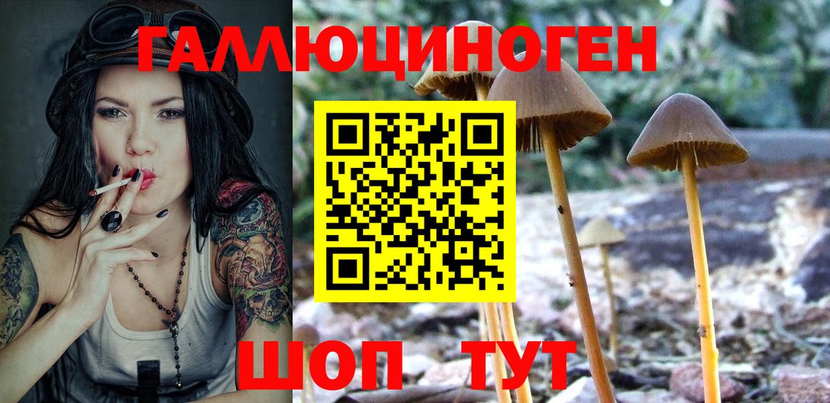 Галлюциногенные грибы мухоморы  Псилоцибиновые грибы прущие грибы  Трёхгорный  Вход с VPN 